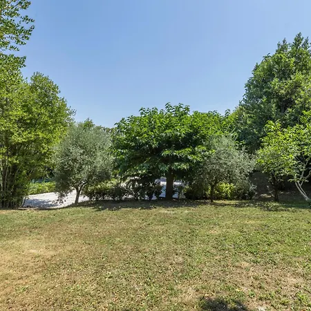 Liberty Parrana San Martino